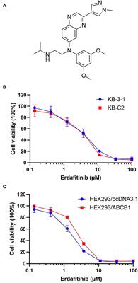 Erdafitinib Antagonizes ABCB1-Mediated Multidrug Resistance in Cancer Cells